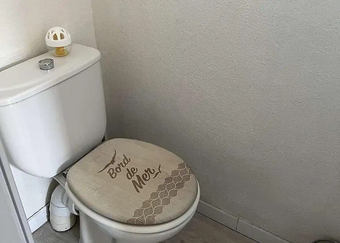 Pavillon T3 Mezzanine Proche - Fr-1-702-31 * Agde