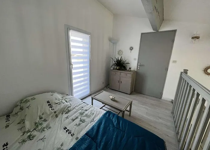 Pavillon T3 Mezzanine Proche - Fr-1-702-31 Agde